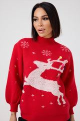 Maglione “CHRISTMAS CAPSULE”FEDERICA BI