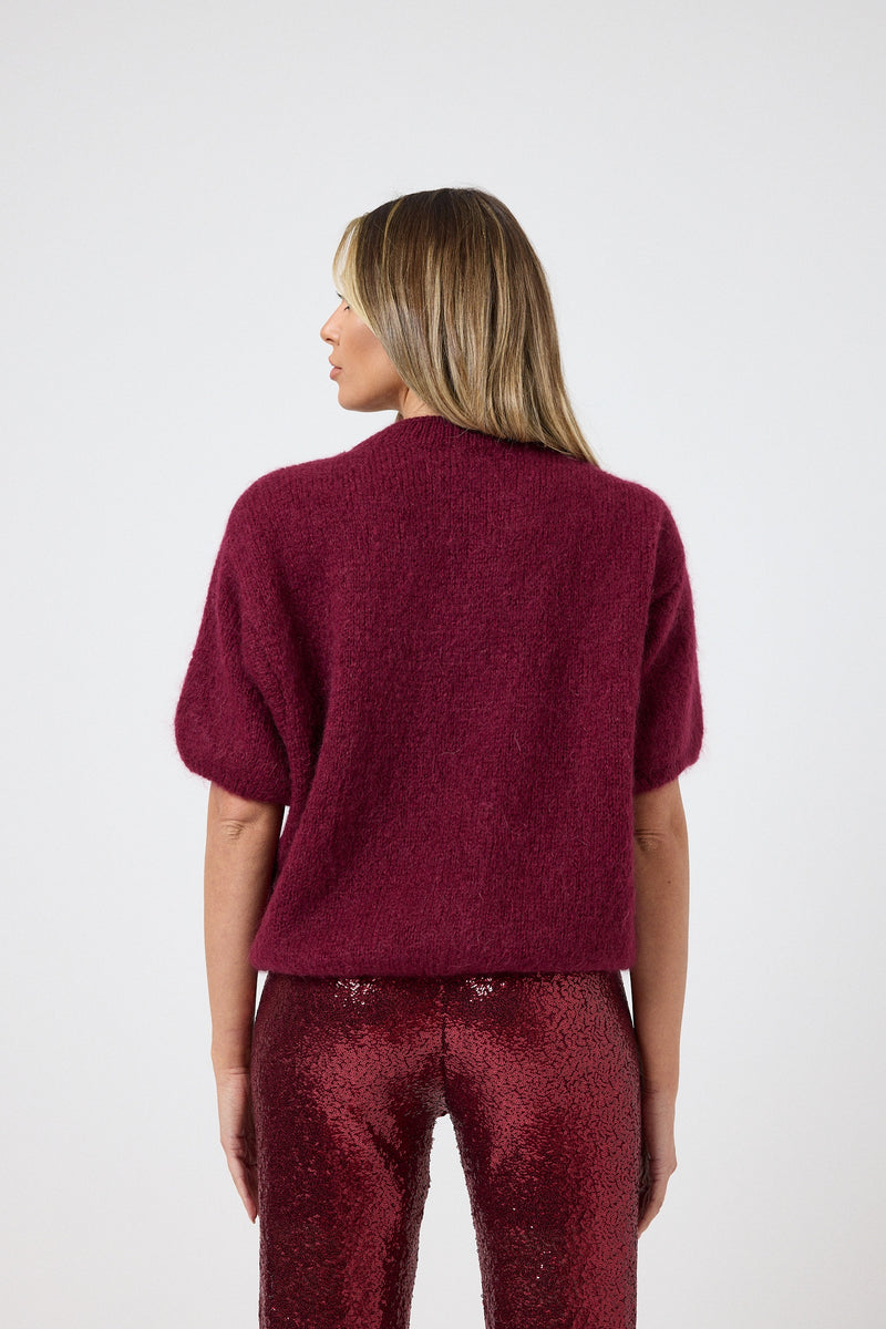 Pantalone in paillettes bordeaux FEDERICA BI