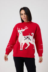 Maglione “CHRISTMAS CAPSULE” FEDERICA BI