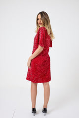 Abito in velluto e paillettes FEDERICA BI ( due colori )