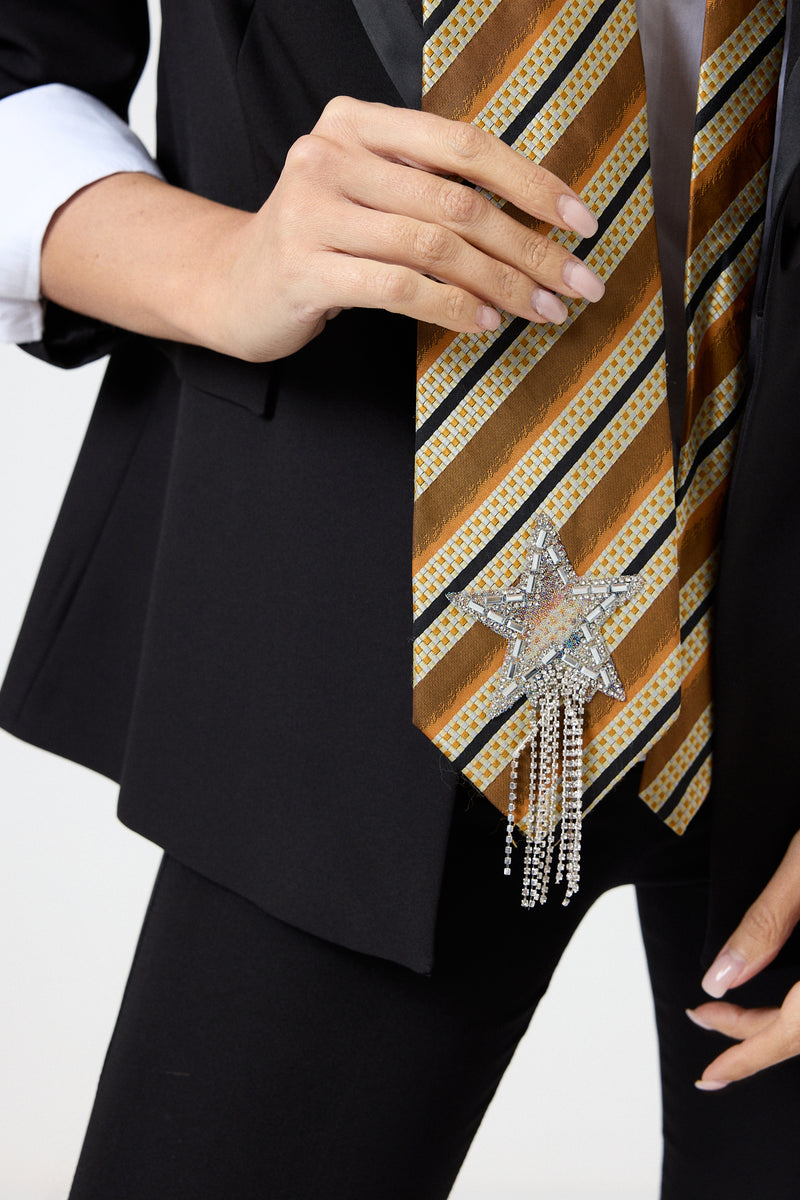 Cravatta in seta riga FEDERICA BI